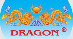 PT Dragon Group