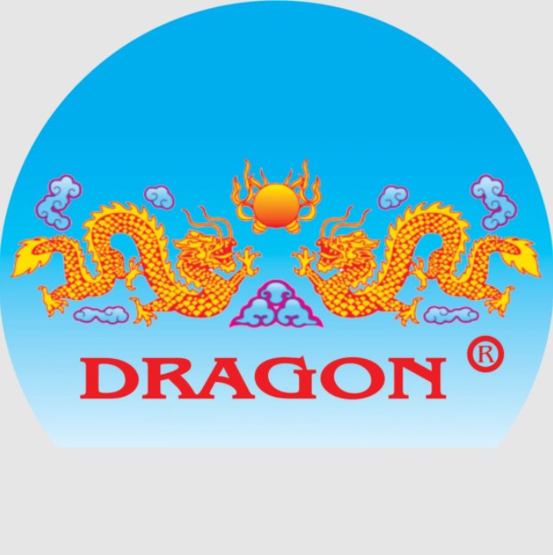 PT Dragon Group