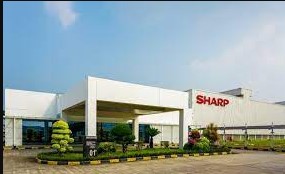 Gaji PT Sharp Karawang