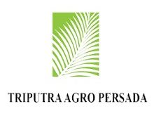 Gaji PT Triputra Agro Persada