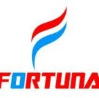 Gaji PT Fortuna Group