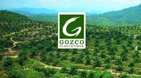 Gaji PT Gozco Plantations Tbk