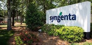 Gaji PT Syngenta Indonesia