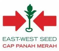 Gaji PT East West Seed Indonesia