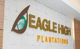 Gaji PT Eagle High Plantations