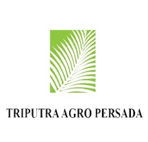 Gaji PT Triputra Agro Persada Group